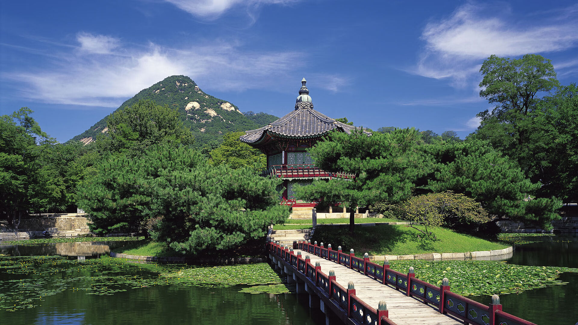 青少年多运动项目选择机制与兴趣发展研究,青少年运动规划