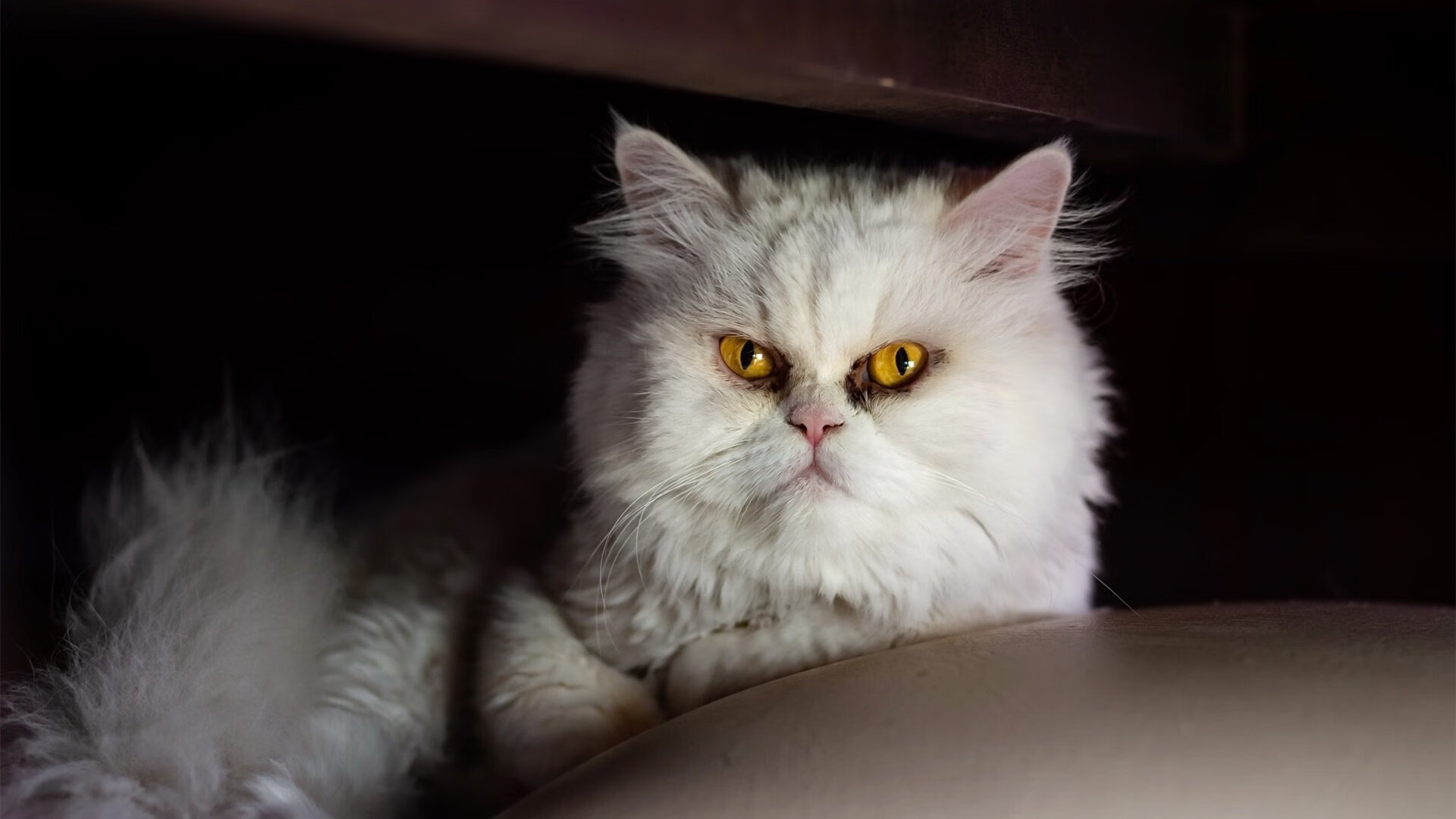 高压防守中球员如何寻求进攻平衡,高压防守中球员如何寻求进攻平衡状态