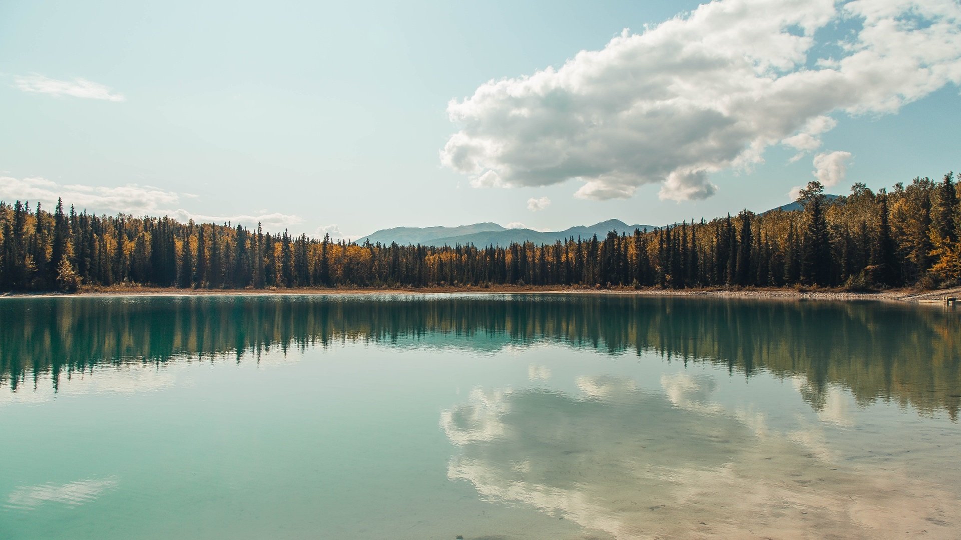 体育赛事志愿者服务规范,体育赛事志愿者的工作要求