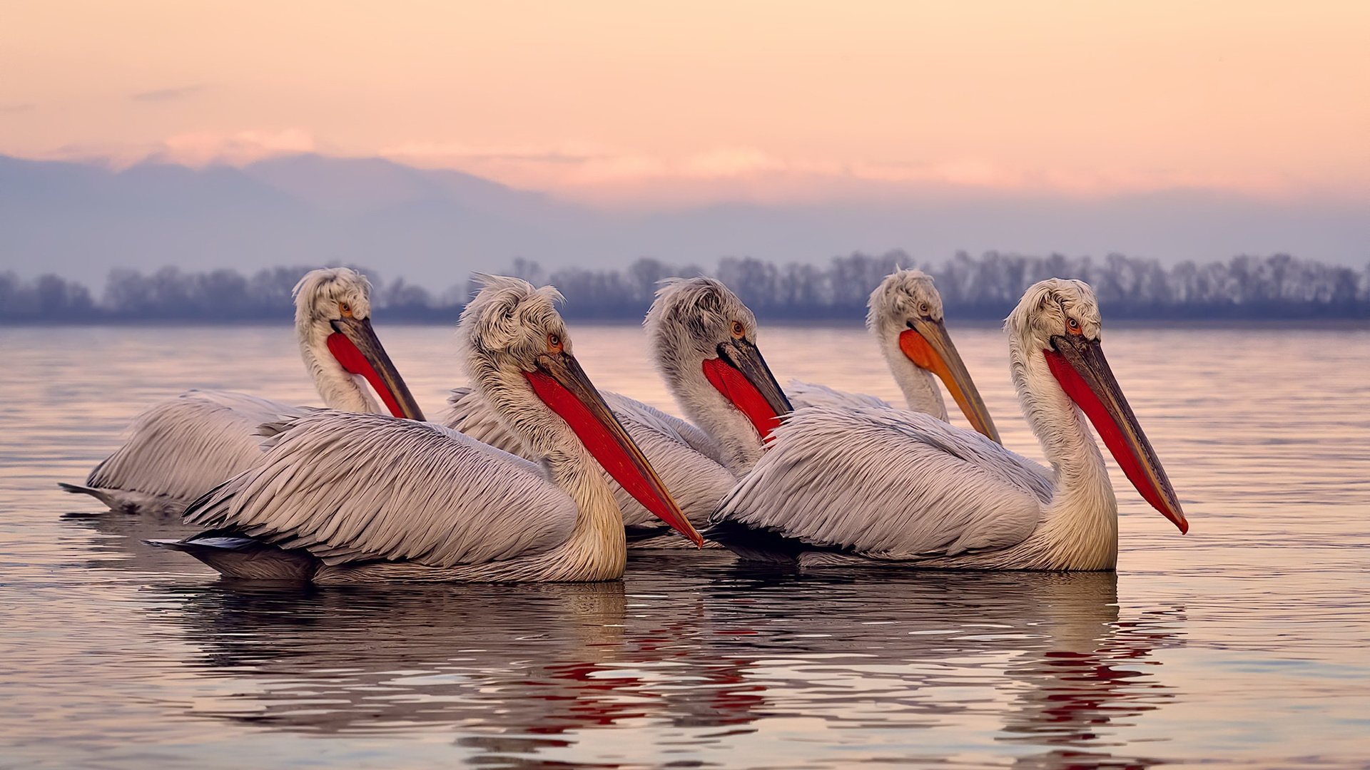 地方篮球发展基金成立加大对青训和赛事的支持力度,地方篮球协会是干什么的