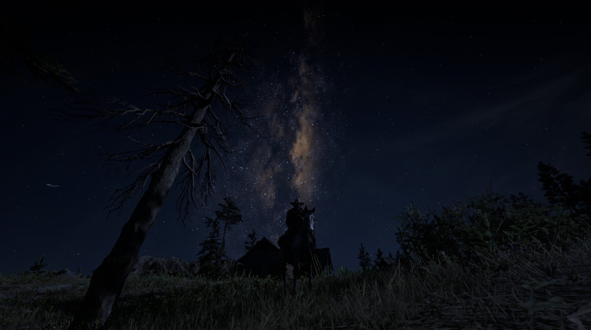 森林狼主场宣传主题聚焦团队共赢理念,森林狼拓展训练基地