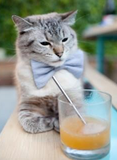 欧洲杯高潮迭起:变化多端引发现场狂潮!,欧洲杯火爆